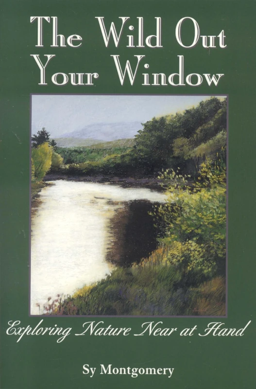 The Wild Out Your Window - Image 1