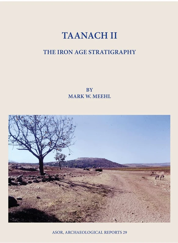 Taanach II: The Iron Age Stratigraphy (Archaeological Reports): 29
