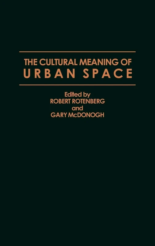 The Cultural Meaning of Urban Space (Contemporary Urban Studies)