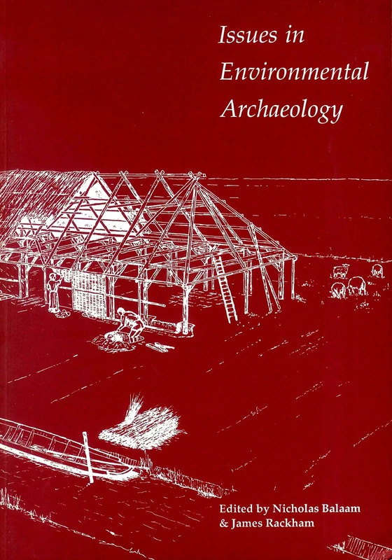 Issues in Environmental Archaeology: Perspectives on its Archaeological and Public Role (UCL Institute of Archaeology Publications)