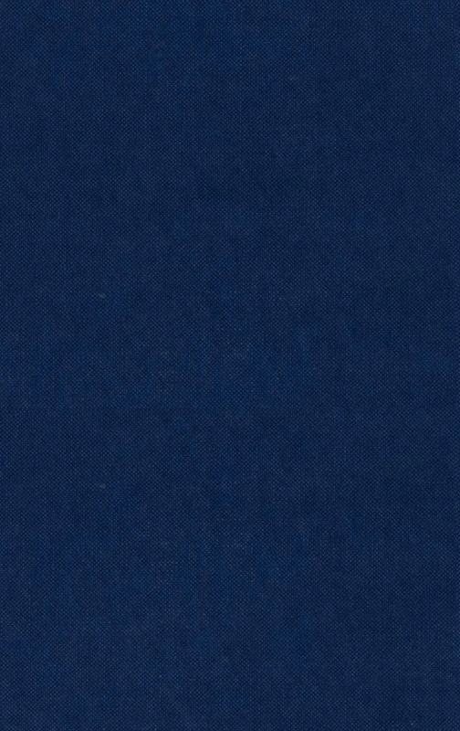 Godly People: Essays on English Protestantism and Puritanism: 23 (History Series)