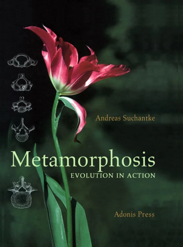 Metamorphosis: Evolution in Action (Adonis Press)
