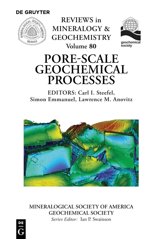Pore Scale Geochemical Processes: 80 (Reviews in Mineralogy & Geochemistry, 80)