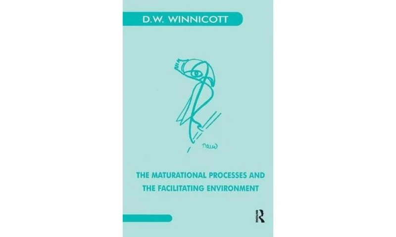 The Maturational Processes and the Facilitating Environment: Studies in the Theory of Emotional Development (Maresfield Library)