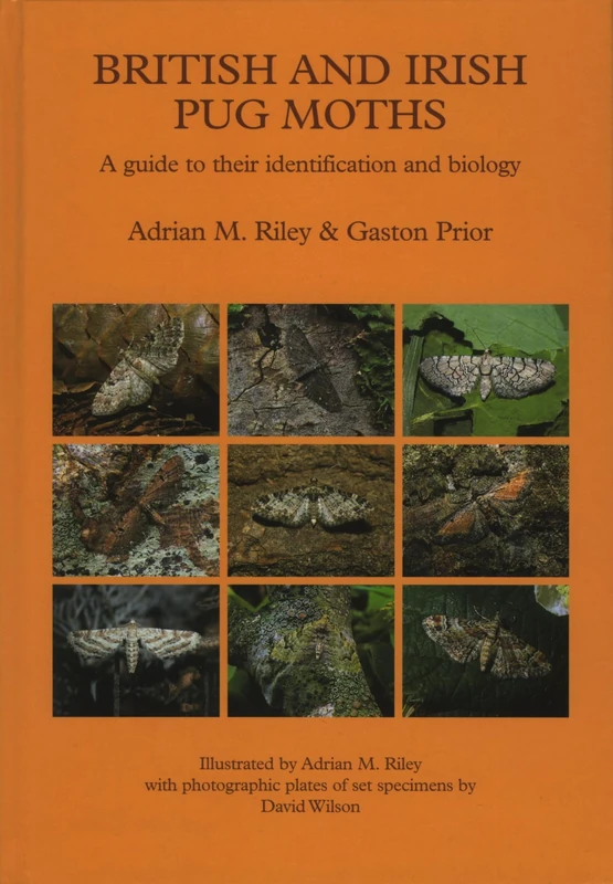 British and Irish Pug Moths - a Guide to their Identification and Biology