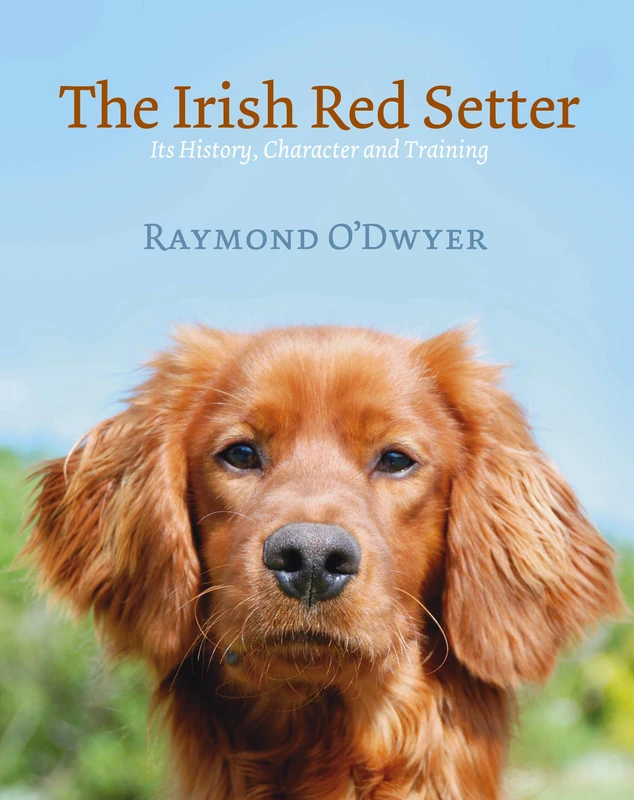 The Irish Red Setter: Its History, Character and Training - Image 1