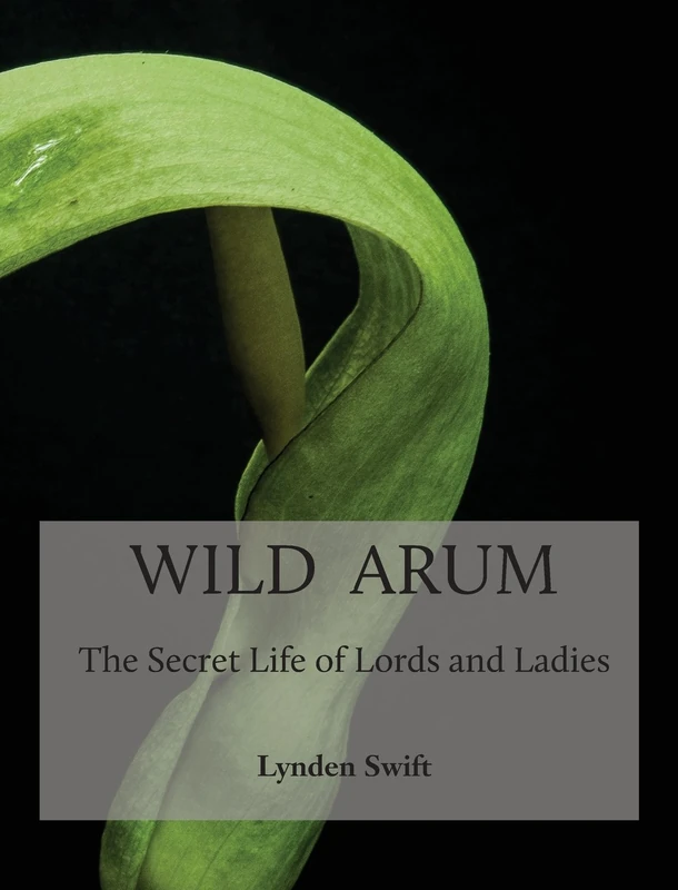Wild Arum: The Secret Life of Lords and Ladies