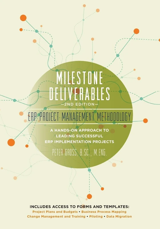 Milestone Deliverables: ERP Project Management Methodology - Image 1