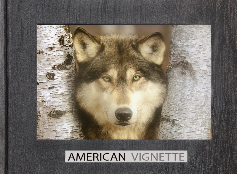 American Vignette - Image 1