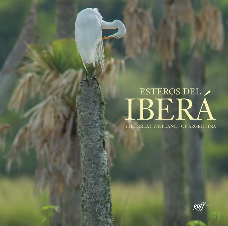 Esteros del Ibera: The Great Wetlands of Argentina - Image 1