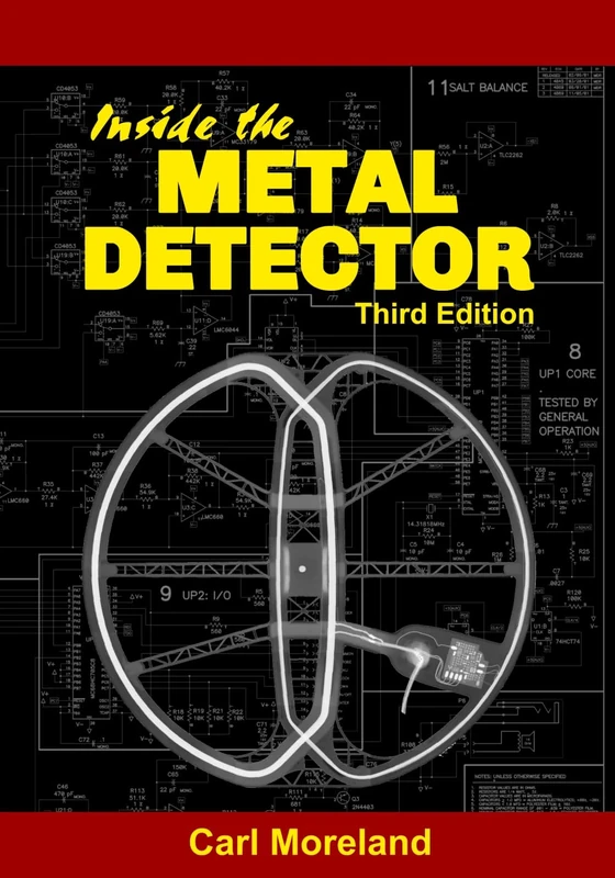 Inside the Metal Detector