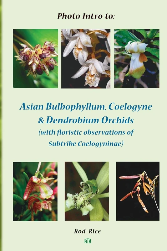 Photo Intro to: Asian Bulbophyllum, Coelogyne & Dendrobium Orchids (with floristic observations of Subtribe Coelogyninae)