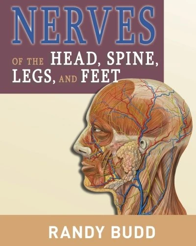 Nerves of the Head, Spine, Legs, and Feet: A human anatomy reference guide