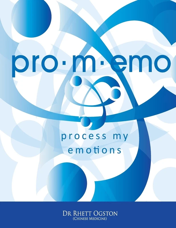 Pro.m.emo: Process my emotions - Image 1