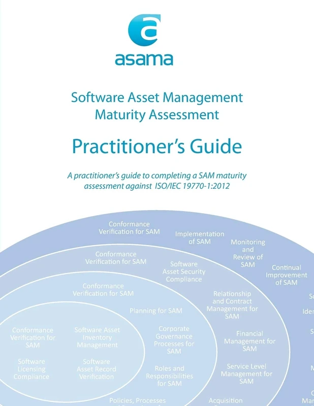 Software Asset Management Maturity Assessment: Practitioner's Guide - Image 1