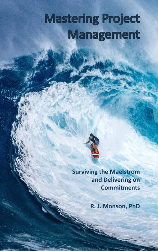 Mastering Project Management: Surviving the Maelstrom and Delivering on Commitments - Image 1