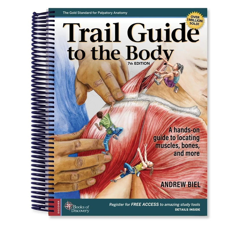Trail Guide to the Body: A Hands-on Guide to Locating Muscles, Bones, and More - Image 1