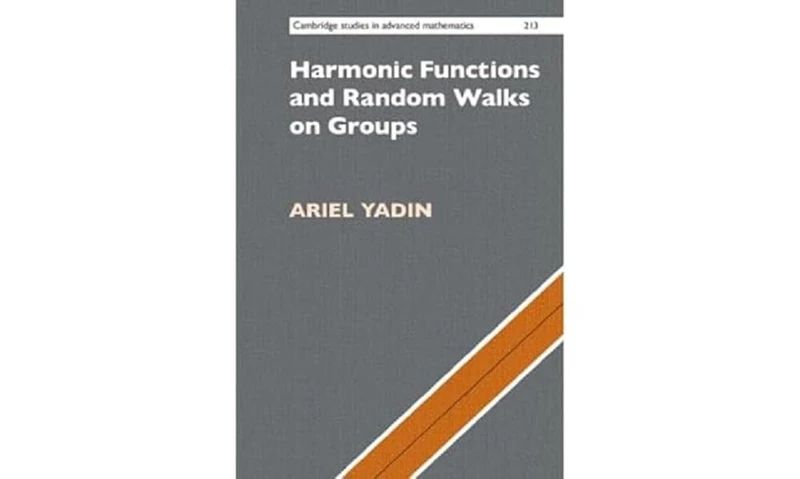 Harmonic Functions and Random Walks on Groups: 213 (Cambridge Studies in Advanced Mathematics, Series Number 213)