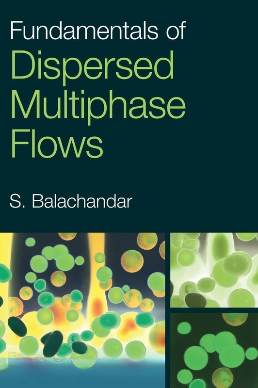 Fundamentals of Dispersed Multiphase Flows
