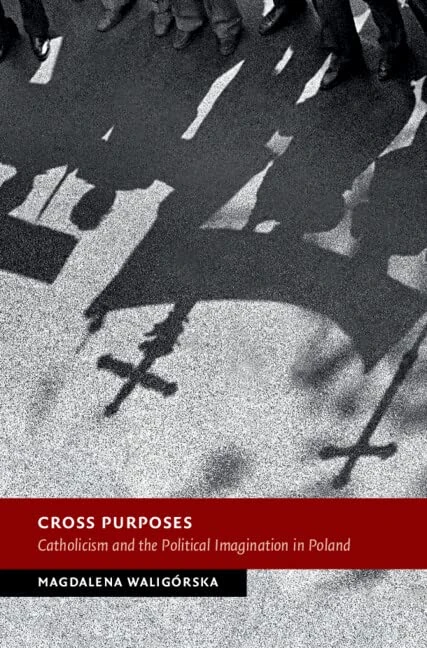 Cross Purposes: Catholicism and the Political Imagination in Poland (New Studies in European History)