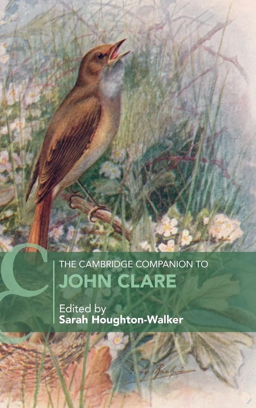 The Cambridge Companion to John Clare (Cambridge Companions to Literature)