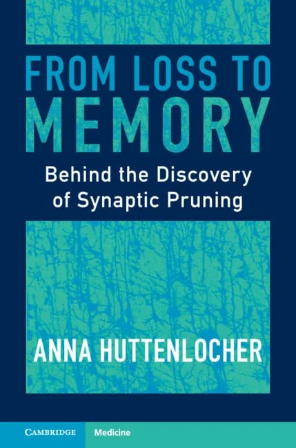 From Loss to Memory: Behind the Discovery of Synaptic Pruning - Image 1