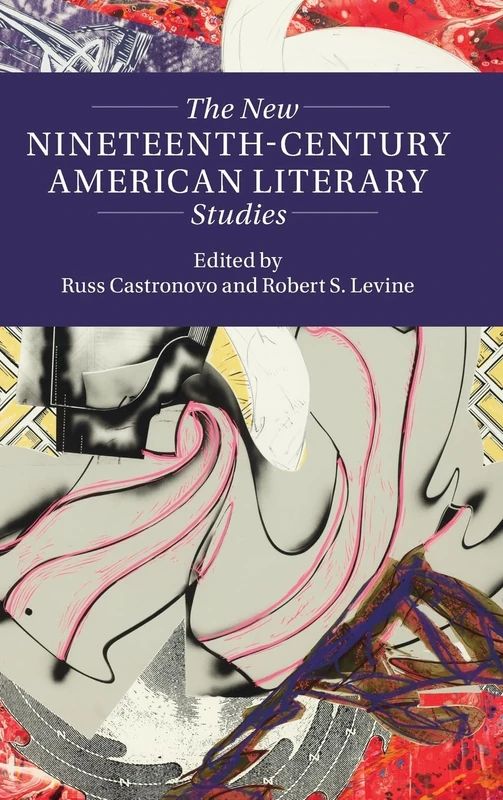 The New Nineteenth-Century American Literary Studies (Twenty-First-Century Critical Revisions)