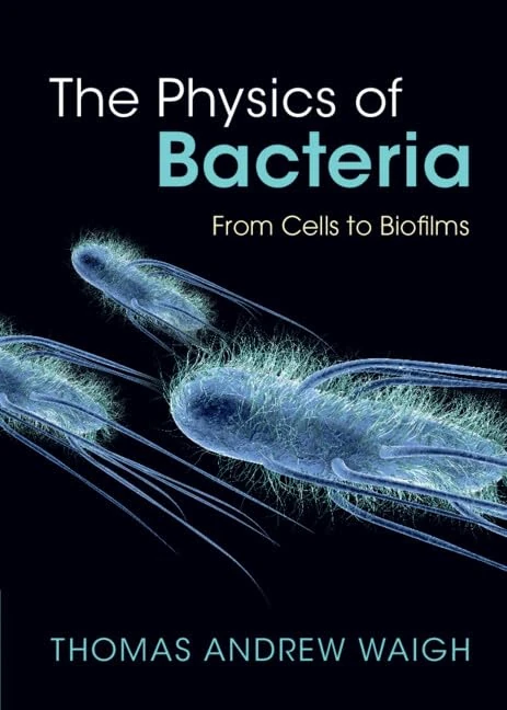 The Physics of Bacteria: From Cells to Biofilms