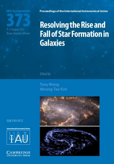 Resolving the Rise and Fall of Star Formation in Galaxies (IAU S373) (Proceedings of the International Astronomical Union Symposia and Colloquia)