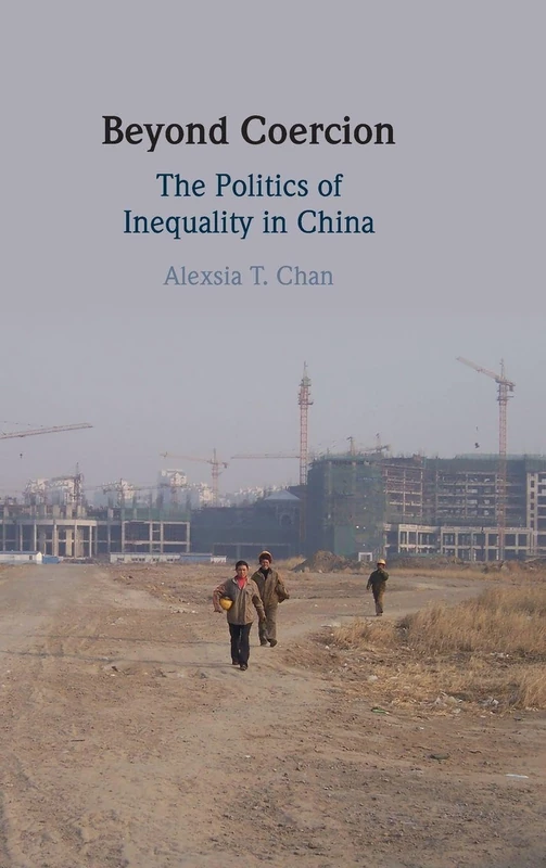 Beyond Coercion: The Politics of Inequality in China