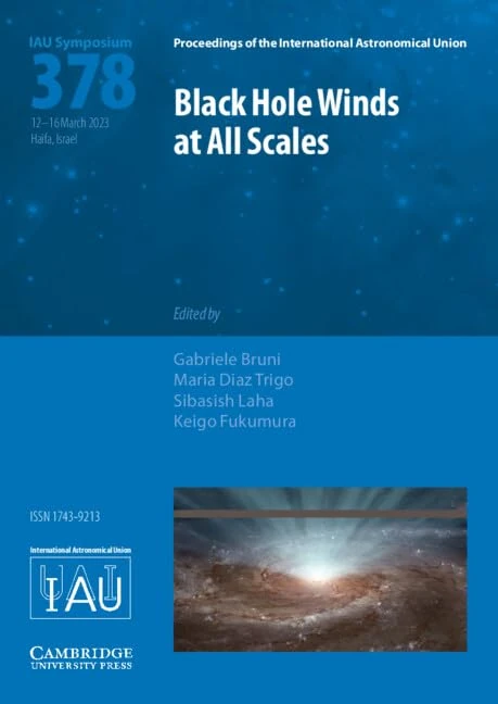 Black Hole Winds at All Scales (IAU S378) (Proceedings of the International Astronomical Union Symposia and Colloquia)