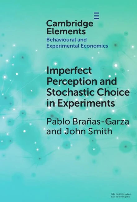 Imperfect Perception and Stochastic Choice in Experiments (Elements in Behavioural and Experimental Economics)