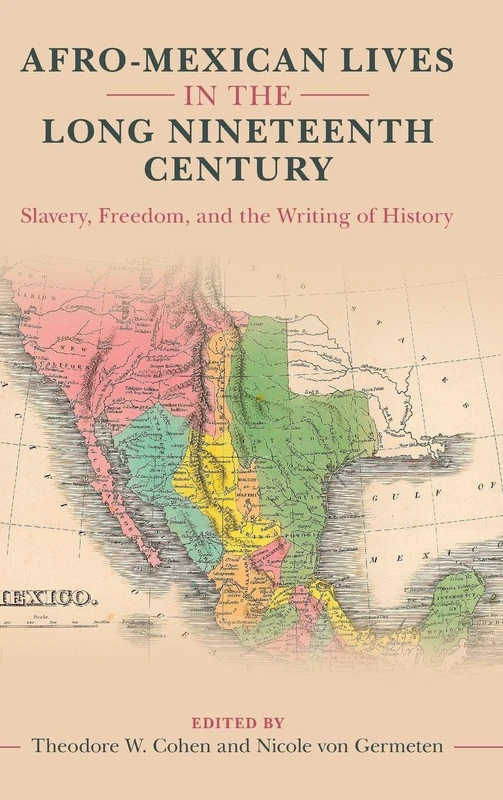 Afro-Mexican Lives in the Long Nineteenth Century: Slavery, Freedom, and the Writing of History (Afro-Latin America)
