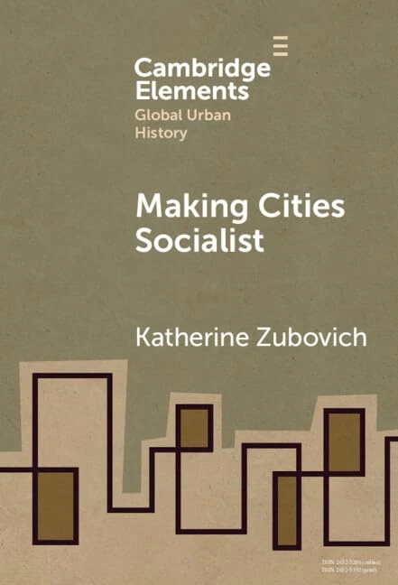 Making Cities Socialist (Elements in Global Urban History) - Image 1