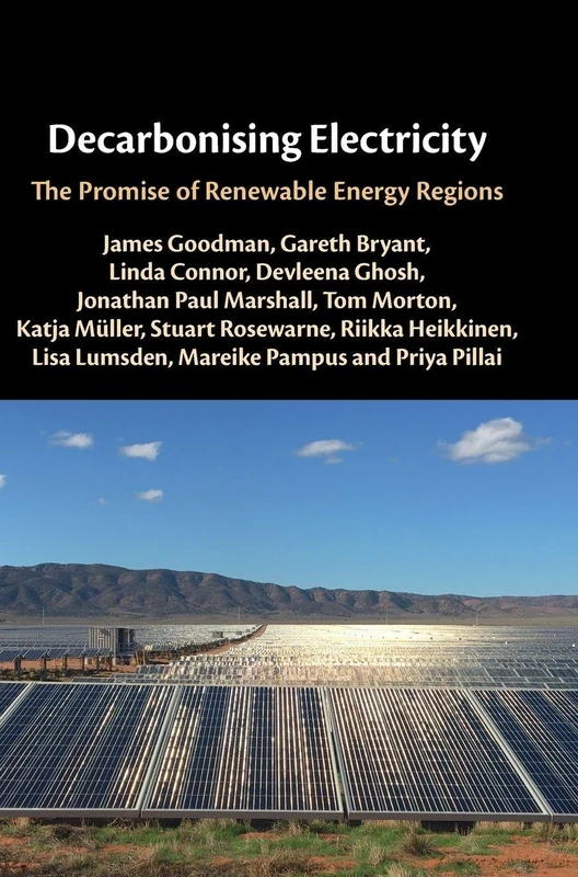 Decarbonising Electricity: The Promise of Renewable Energy Regions