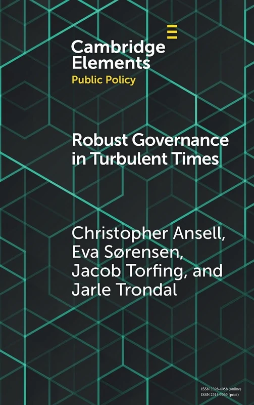 Robust Governance in Turbulent Times (Elements in Public Policy)