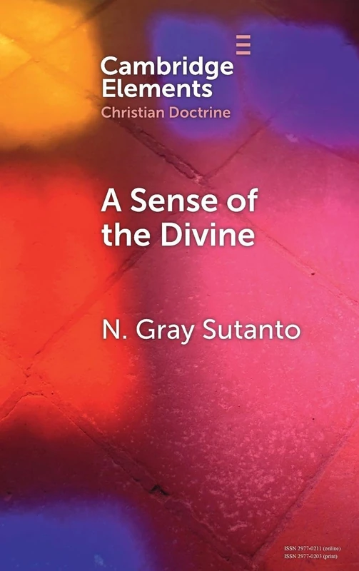 A Sense of the Divine: An Affective Model of General Revelation from the Reformed Tradition (Elements in Christian Doctrine) - Image 1