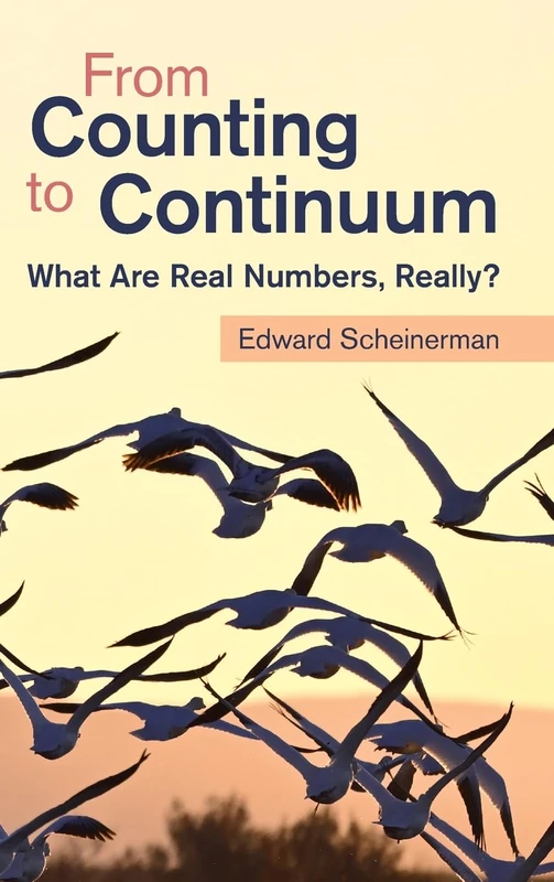 From Counting to Continuum: What Are Real Numbers, Really? - Image 1