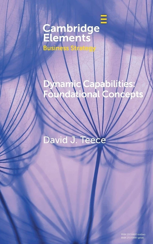 Dynamic Capabilities: Foundational Concepts (Elements in Business Strategy)