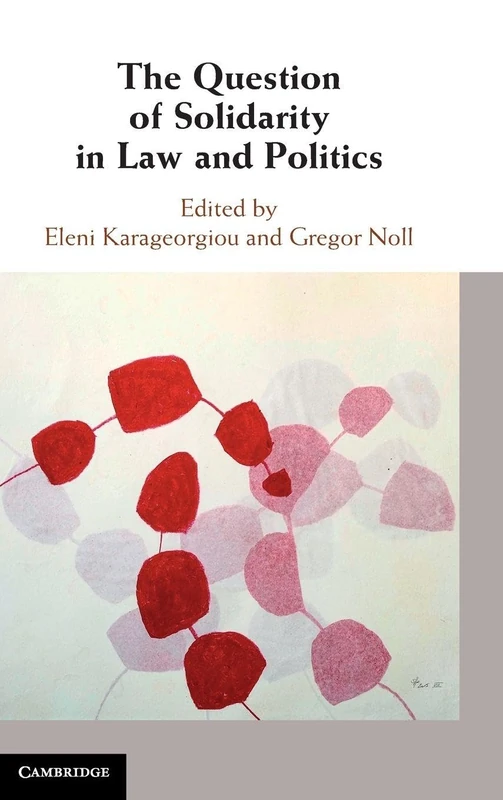 The Question of Solidarity in Law and Politics