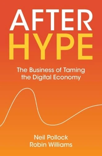 After Hype: The Business of Taming the Digital Economy