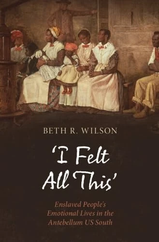 ‘I Felt All This’: Enslaved People's Emotional Lives in the Antebellum US South (Cambridge Studies on Black Women in US History)