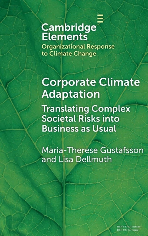 Corporate Climate Adaptation: Translating Complex Societal Risks into Business as Usual (Organizational Response to Climate Change: Businesses, Governments)