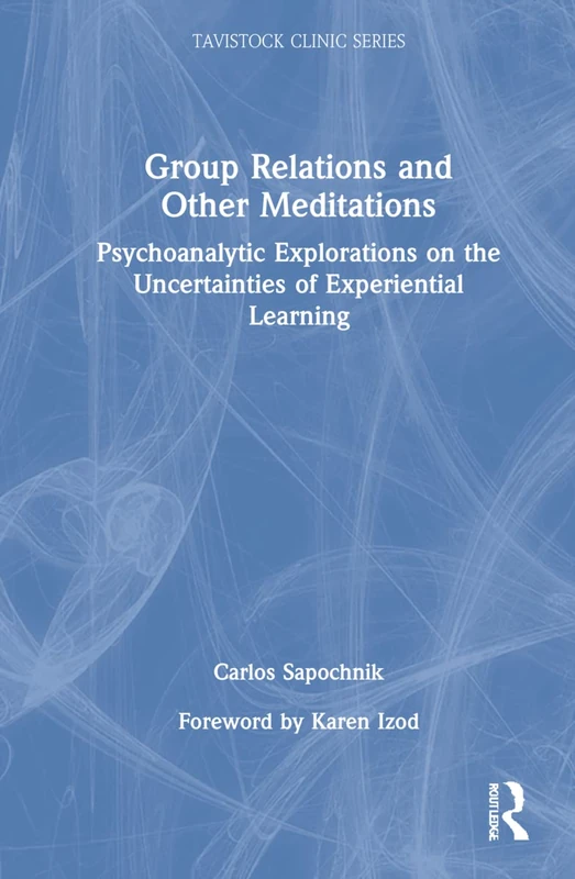 Routledge Group Relations and Other Meditations - Psychology