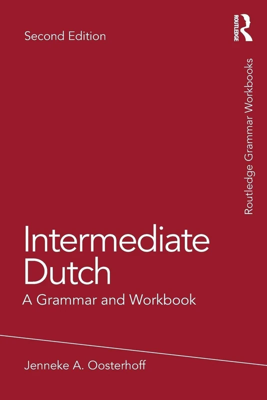 Intermediate Dutch: A Grammar and Workbook (Routledge Grammar Workbooks)