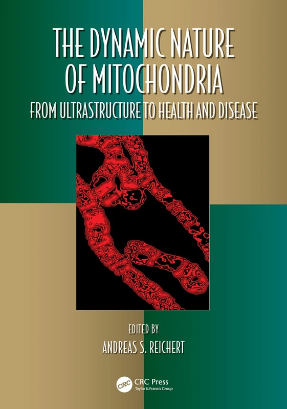 The Dynamic Nature of Mitochondria: from Ultrastructure to Health and Disease (Oxidative Stress and Disease)