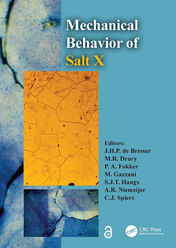 The Mechanical Behavior of Salt X: PROCEEDINGS OF THE 10TH CONFERENCE ON THE MECHANICAL BEHAVIOR OF SALT (SALTMECH X), UTRECHT, THE NETHERLANDS, 06-08 JULY 2022