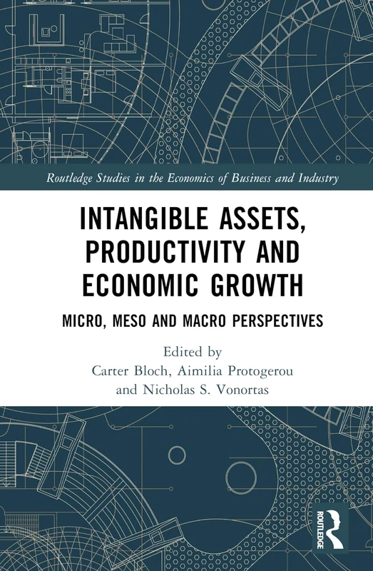 Intangible Assets, Productivity and Economic Growth: Micro, Meso and Macro Perspectives (Routledge Studies in the Economics of Business and Industry)