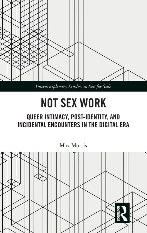 Not Sex Work: Queer Intimacy, Post-identity, and Incidental Encounters in the Digital Era (Interdisciplinary Studies in Sex for Sale)