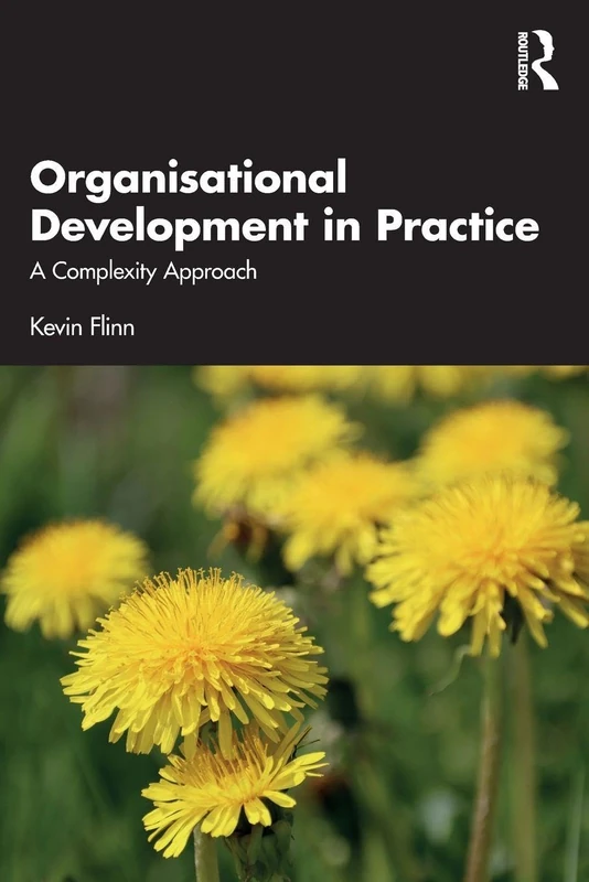 Organisational Development in Practice: A Complexity Approach